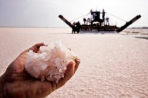 Можно ли не обрабатывать йодом соленый огурец?