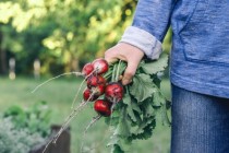 Названы семь простых способов предотвратить болезни сердца